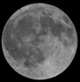 Der Vollmond im Alter von 15 Tagen am 1.12.2001 - eine Stunde vor der Saturnbedeckung
